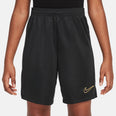 Dri-FIT Academy 23 short