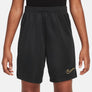 Dri-FIT Academy 23 short