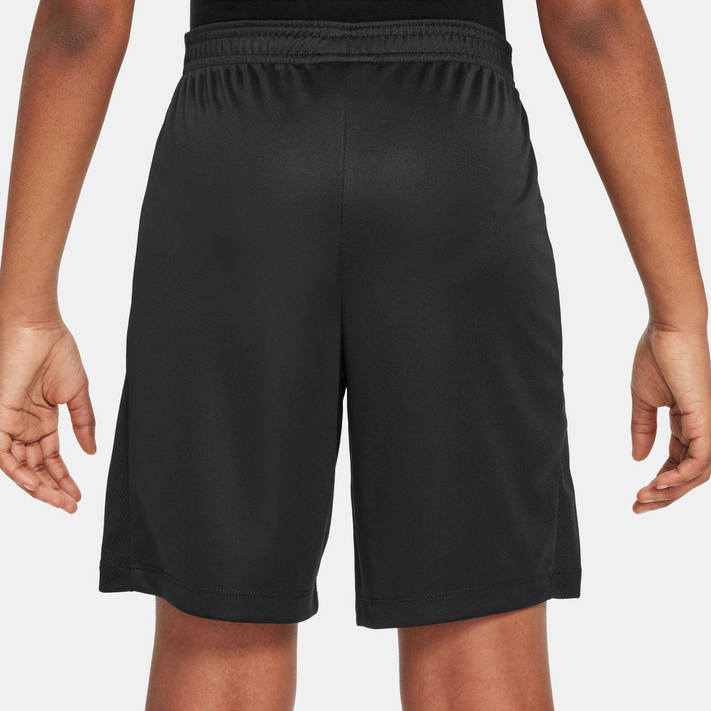 Dri-FIT Academy 23 short