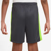 Dri-FIT Academy 23 short