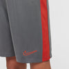 Dri-FIT Academy 23 short