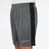 Dri-FIT Academy 23 short
