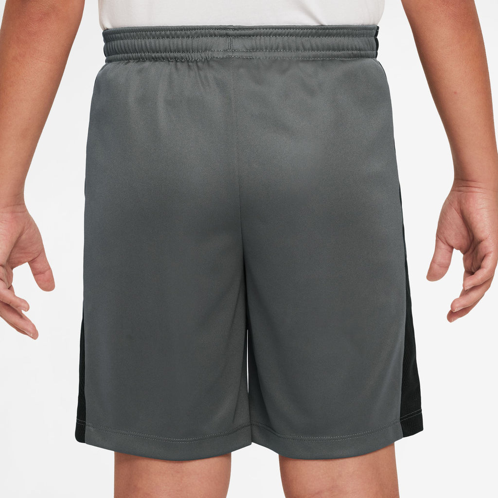 Dri-FIT Academy 23 short