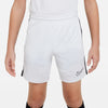Dri-FIT Academy 23 short