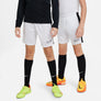 Dri-FIT Academy 23 short