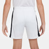 Dri-FIT Academy 23 short