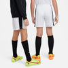 Dri-FIT Academy 23 short