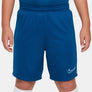 Dri-FIT Academy 23 short