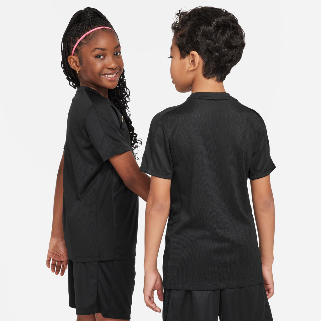 Dri-FIT Academy shirt
