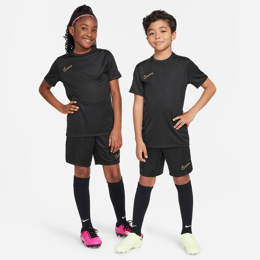 Dri-FIT Academy shirt