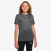 Dri-FIT Academy shirt
