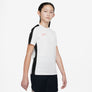 Dri-FIT Academy shirt