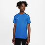Dri-FIT Academy shirt