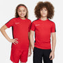 Dri-FIT Academy shirt