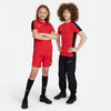 Dri-FIT Academy shirt
