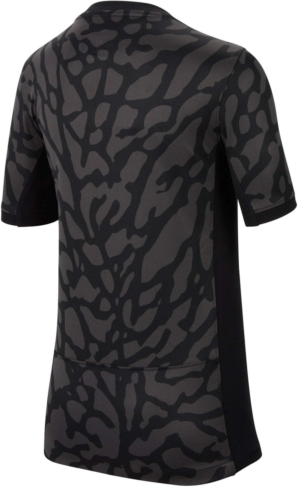 Paris Saint-Germain 2023/24 Stadium Third shirt