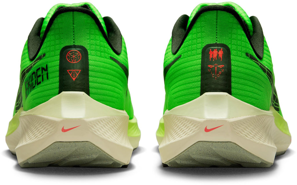 Air Zoom Pegasus 39 hardloopschoenen