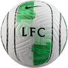 Liverpool FC Academy voetbal