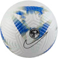 Academy Premier League voetbal
