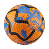 Academy Premier League voetbal