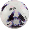 Premier League Skills voetbal