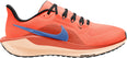 Nike Pegasus 41 hardloopschoenen