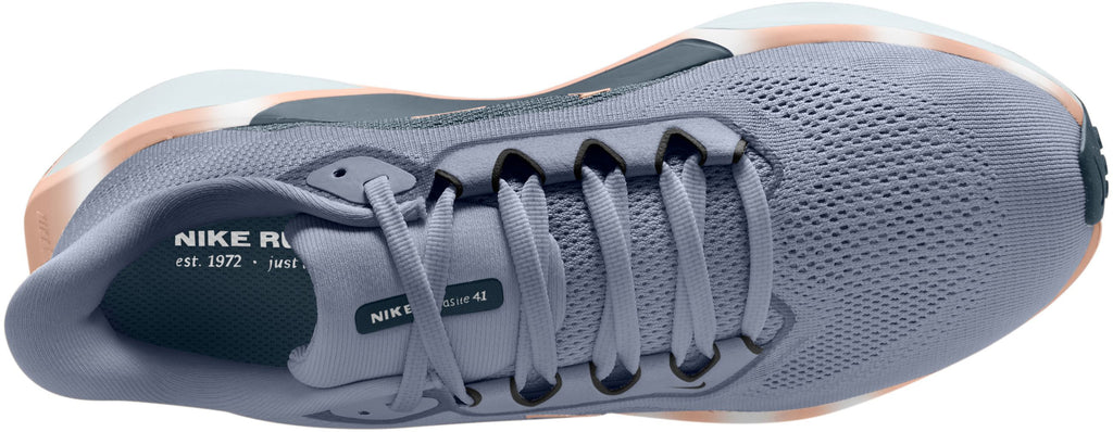 Nike Pegasus 41 hardloopschoenen