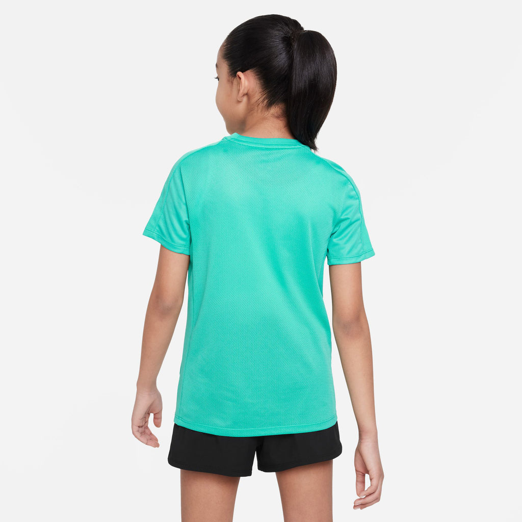 Nike Trophy23 Dri-FIT top