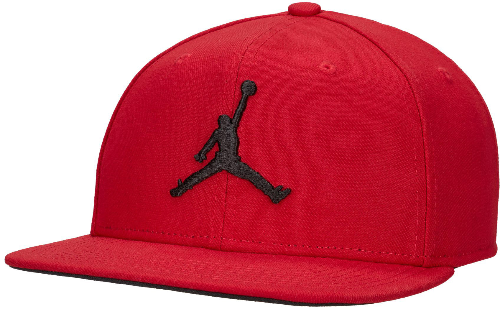 Jordan Pro Verstelbare pet