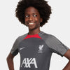 Liverpool FC Strike shirt