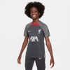 Liverpool FC Strike shirt