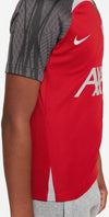 Liverpool FC Strike shirt