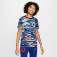 Nederlands Elftal Pre-Match 2024 Training shirt