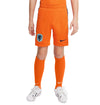 Nederland Dri-FIT 2024 Stadium kids thuisshort