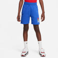 Sportswear Si Fleece Cargo short