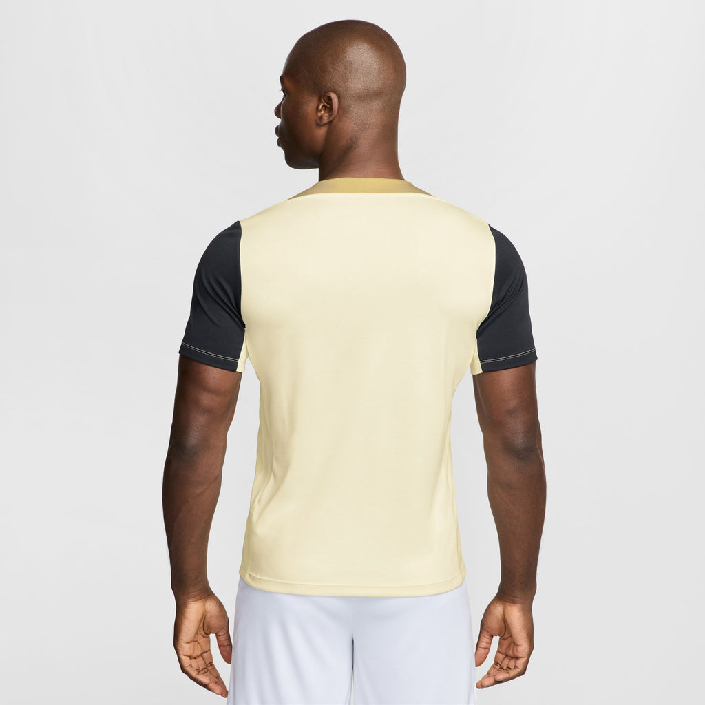 Dri-FIT Strike shirt