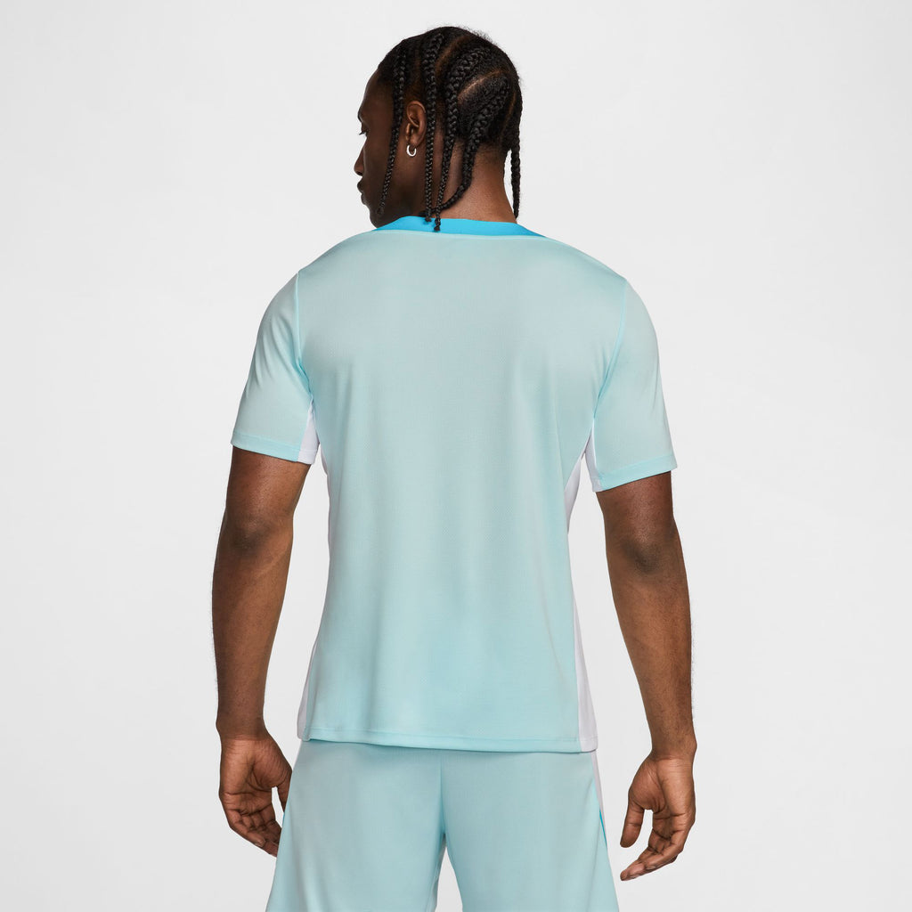 Dri-FIT Strike shirt