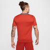 Dri-FIT Strike shirt