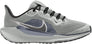 Air Zoom Pegasus 40 fitness schoenen