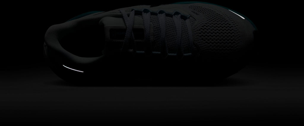 Air Zoom Pegasus 40 fitness schoenen