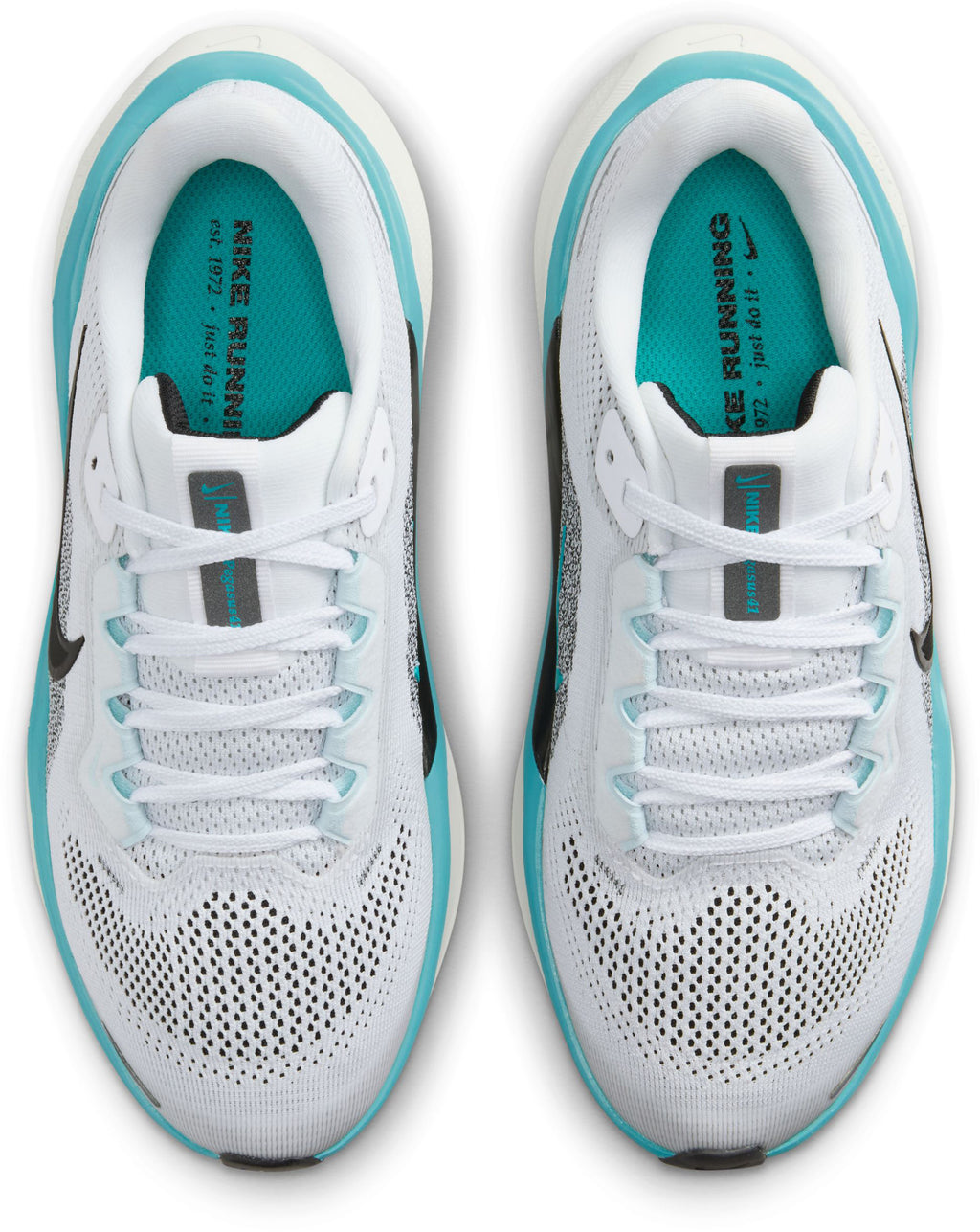 Air Zoom Pegasus 40 fitness schoenen