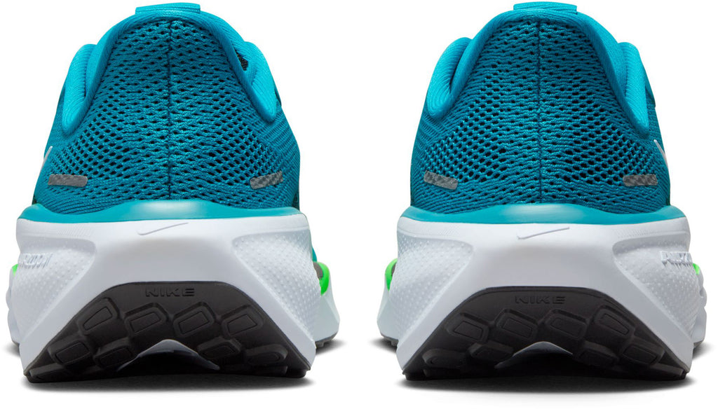 Air Zoom Pegasus 40 fitness schoenen