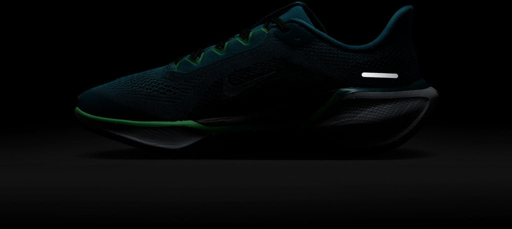 Air Zoom Pegasus 40 fitness schoenen