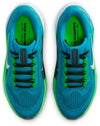 Air Zoom Pegasus 40 fitness schoenen