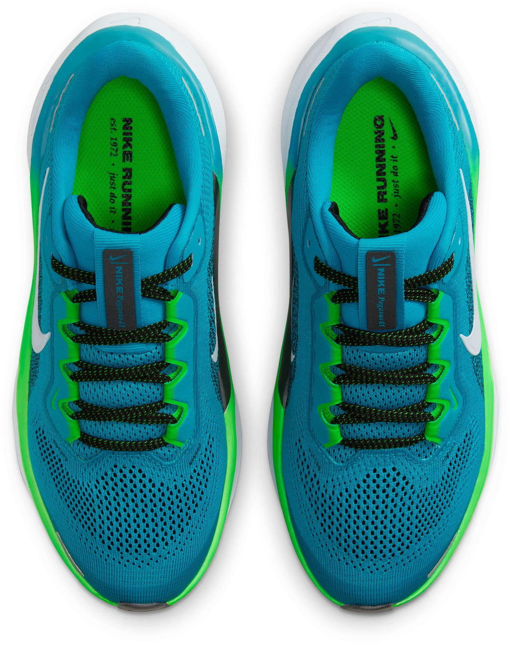Air Zoom Pegasus 40 fitness schoenen