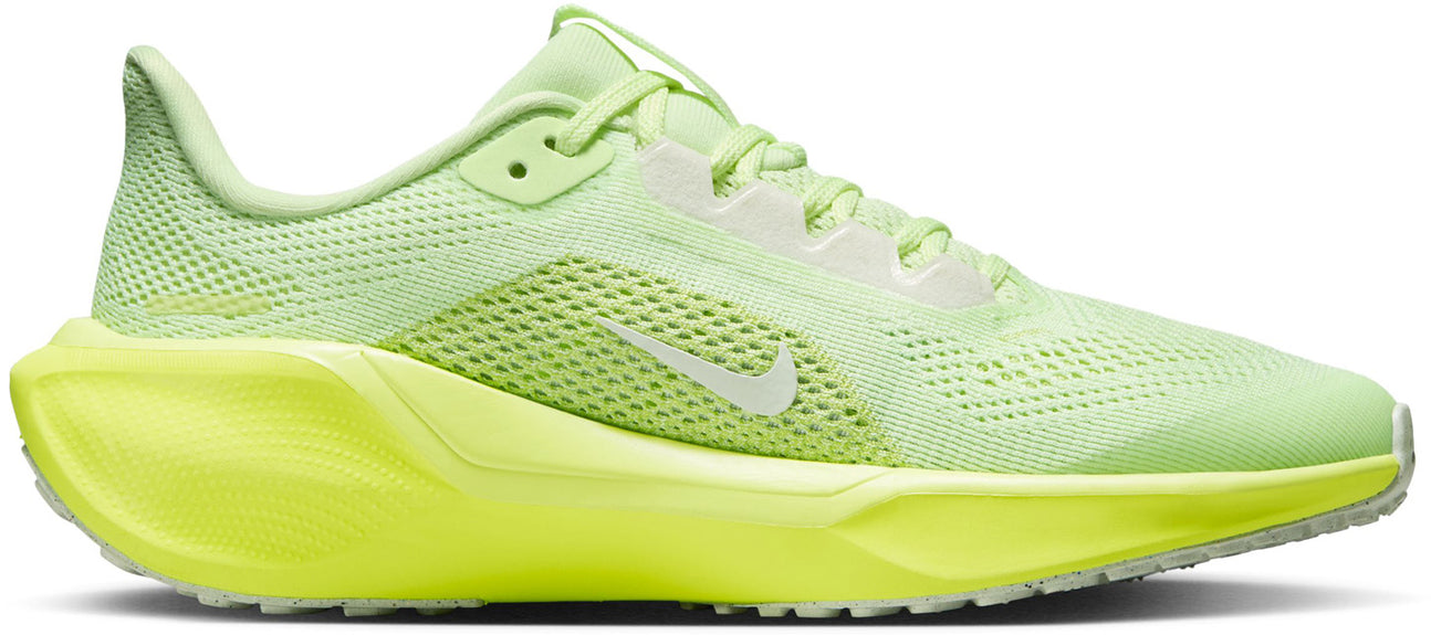 Air Zoom Pegasus 40 fitness schoenen