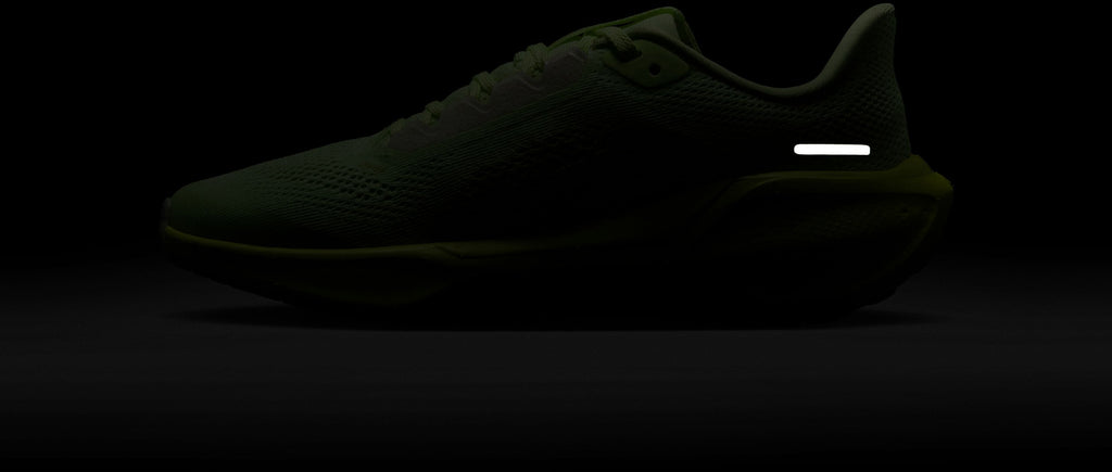 Air Zoom Pegasus 40 fitness schoenen