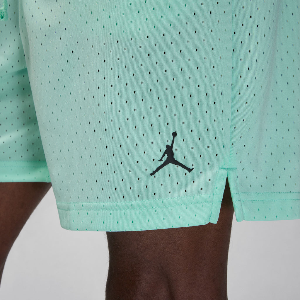 Jordan Sport short