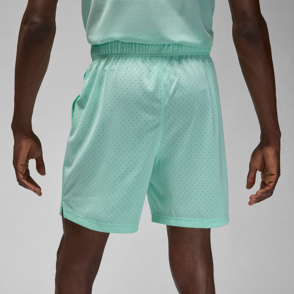 Jordan Sport short