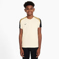 Dri-FIT Strike shirt
